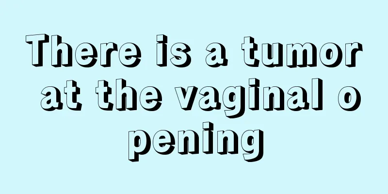 There is a tumor at the vaginal opening