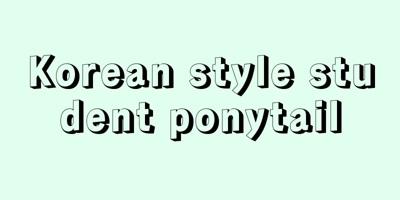 Korean style student ponytail