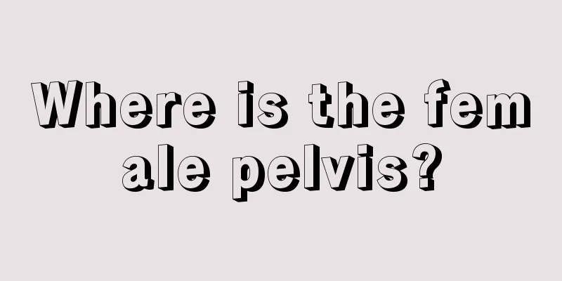 Where is the female pelvis?