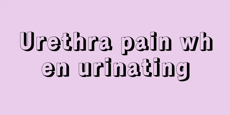 Urethra pain when urinating