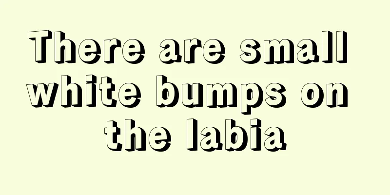 There are small white bumps on the labia