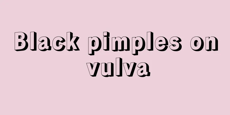 Black pimples on vulva