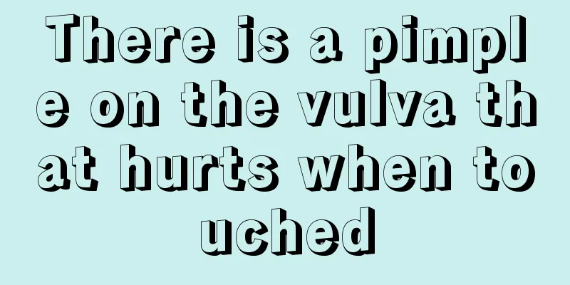 There is a pimple on the vulva that hurts when touched