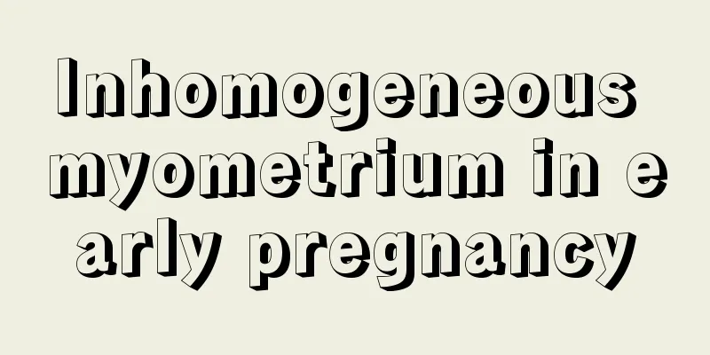 Inhomogeneous myometrium in early pregnancy