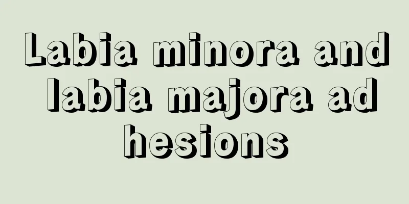 Labia minora and labia majora adhesions