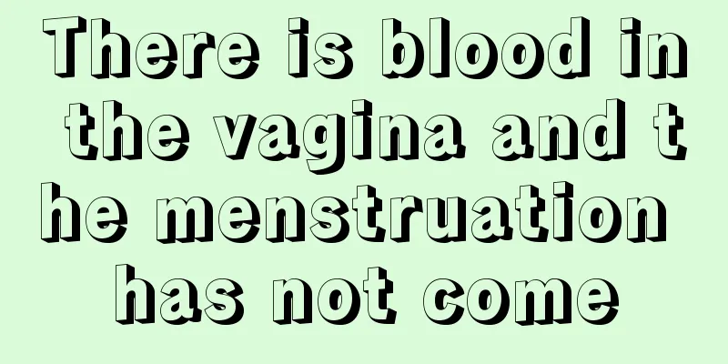 There is blood in the vagina and the menstruation has not come