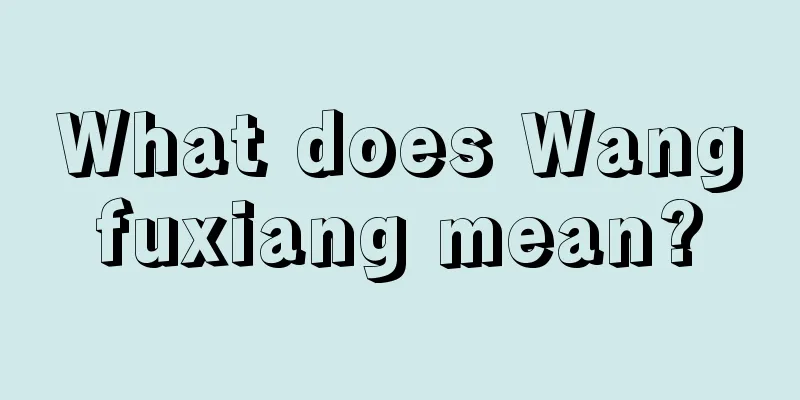 What does Wangfuxiang mean?