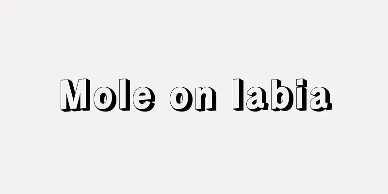 Mole on labia