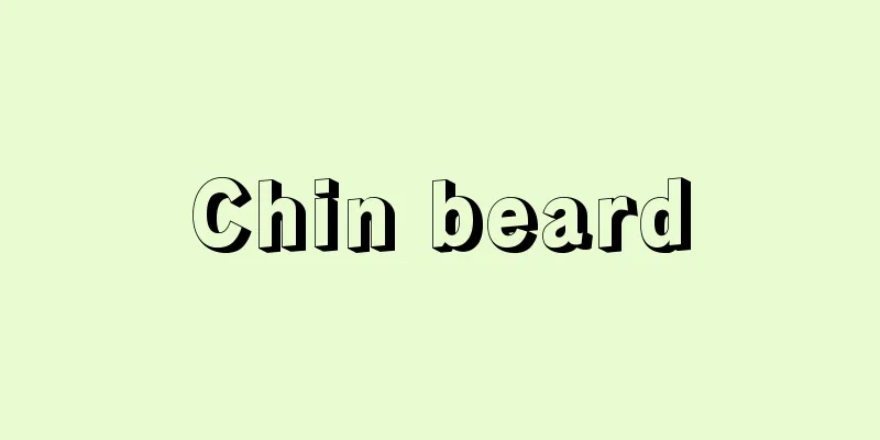 Chin beard