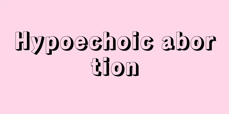 Hypoechoic abortion