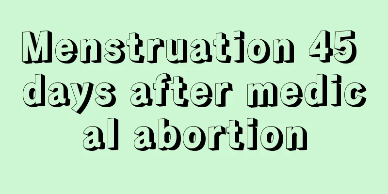 Menstruation 45 days after medical abortion