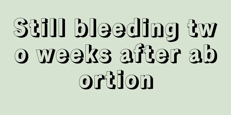 Still bleeding two weeks after abortion