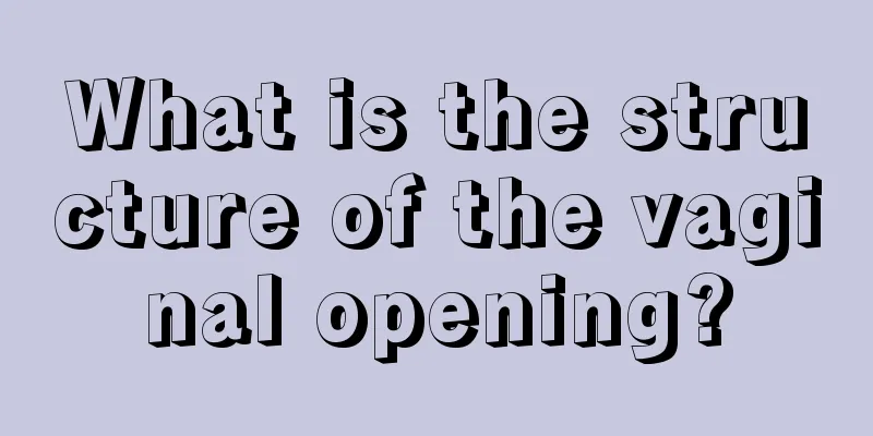 What is the structure of the vaginal opening?