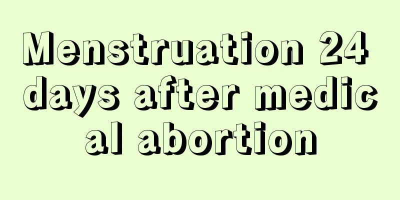 Menstruation 24 days after medical abortion