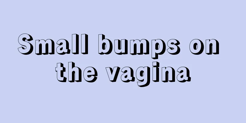 Small bumps on the vagina