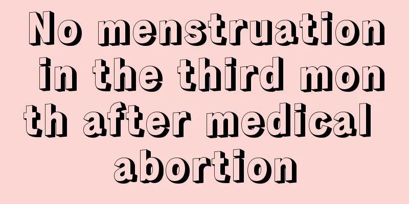 No menstruation in the third month after medical abortion