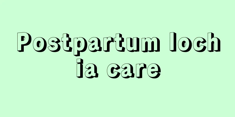 Postpartum lochia care