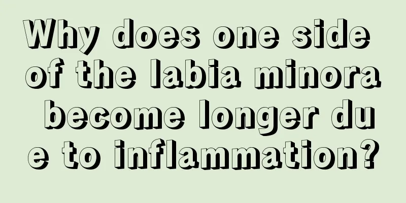 Why does one side of the labia minora become longer due to inflammation?