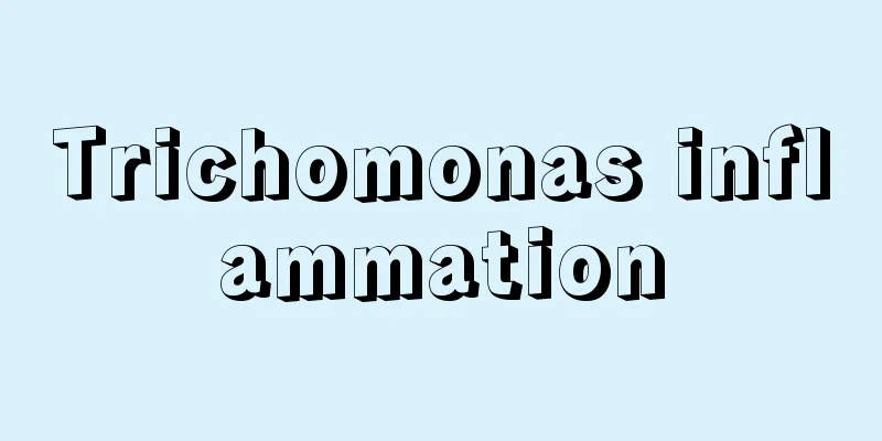 Trichomonas inflammation