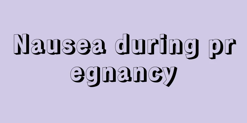 Nausea during pregnancy