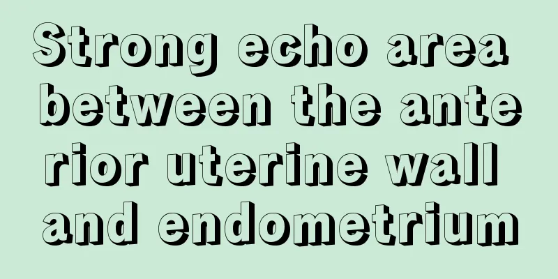 Strong echo area between the anterior uterine wall and endometrium