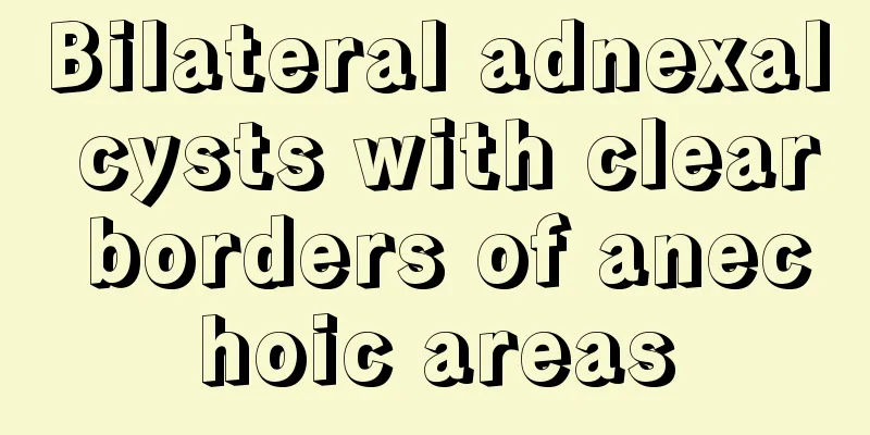 Bilateral adnexal cysts with clear borders of anechoic areas