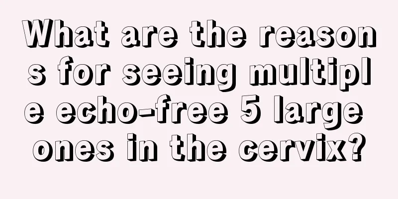 What are the reasons for seeing multiple echo-free 5 large ones in the cervix?