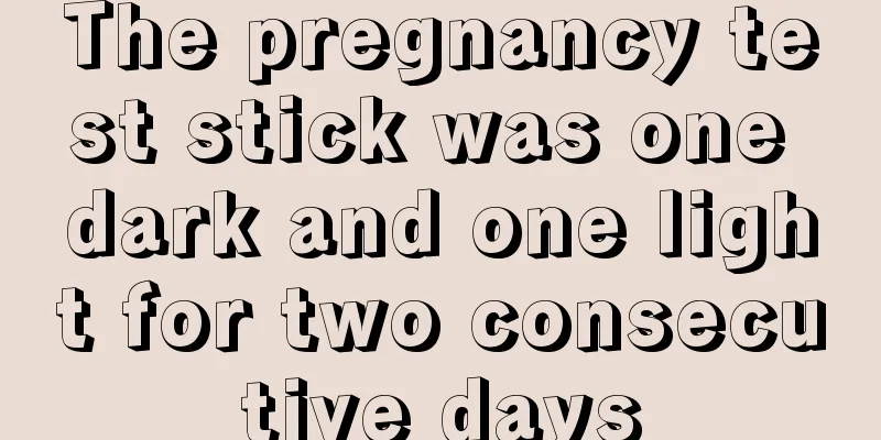 The pregnancy test stick was one dark and one light for two consecutive days