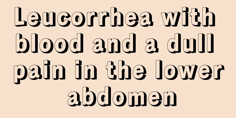 Leucorrhea with blood and a dull pain in the lower abdomen