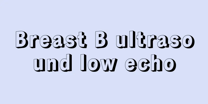 Breast B ultrasound low echo