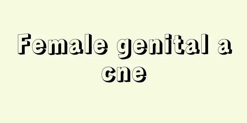 Female genital acne