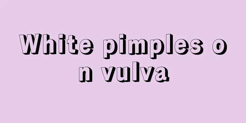 White pimples on vulva