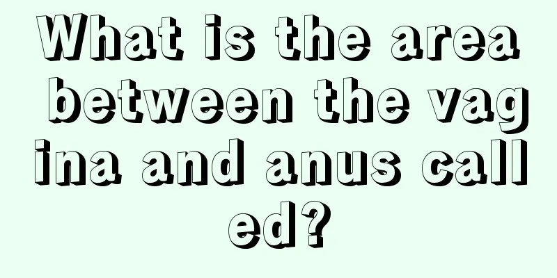 What is the area between the vagina and anus called?