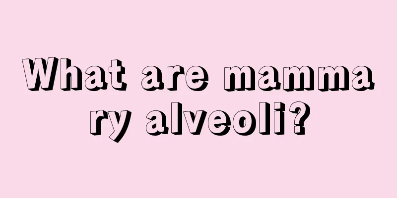 What are mammary alveoli?