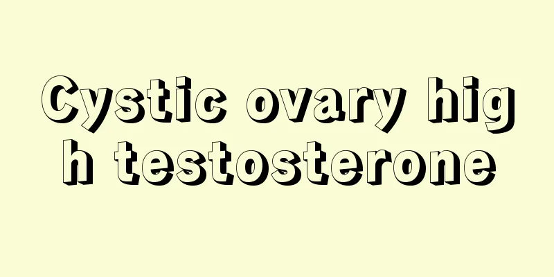 Cystic ovary high testosterone