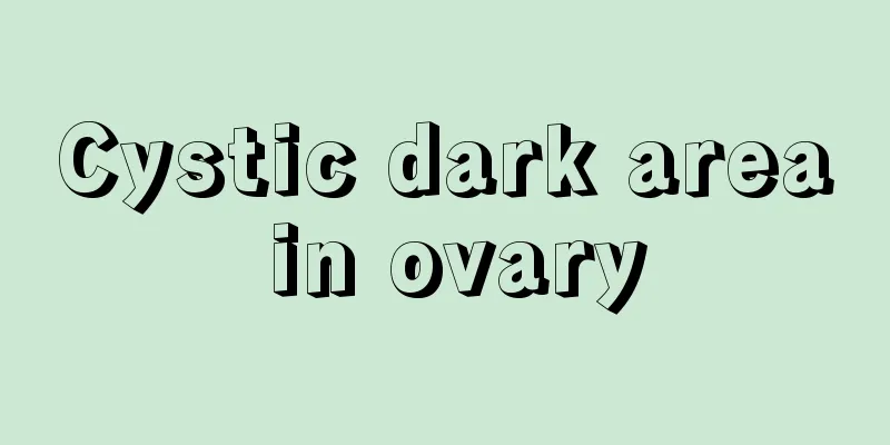 Cystic dark area in ovary