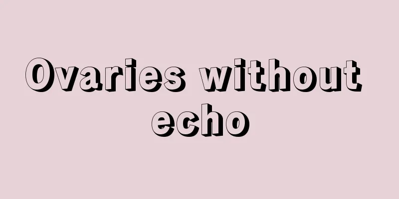 Ovaries without echo