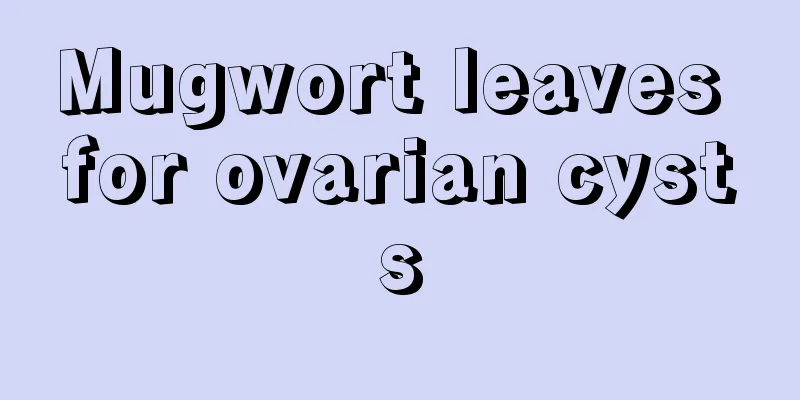 Mugwort leaves for ovarian cysts