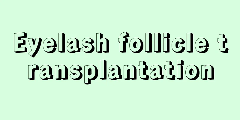 Eyelash follicle transplantation