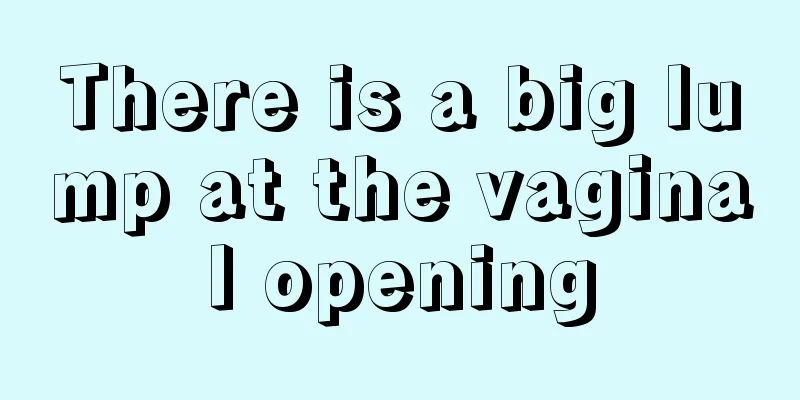 There is a big lump at the vaginal opening