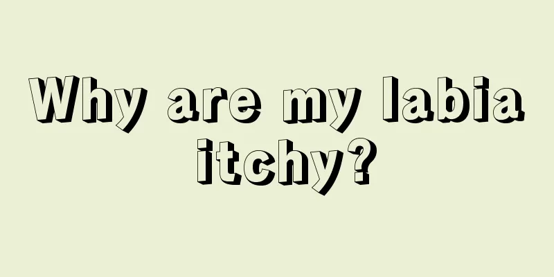 Why are my labia itchy?