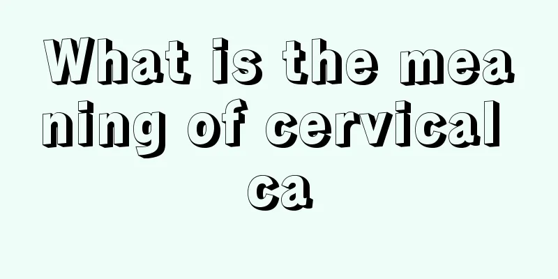 What is the meaning of cervical ca