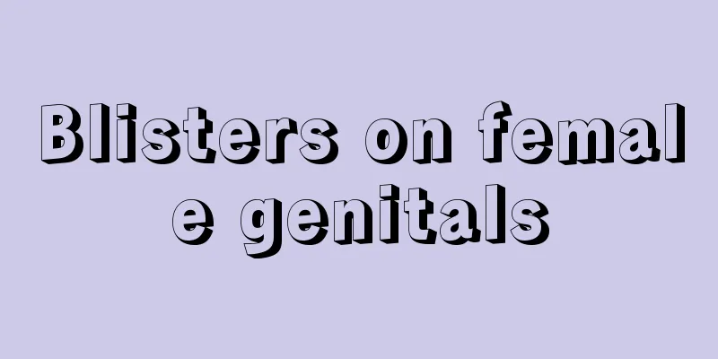 Blisters on female genitals