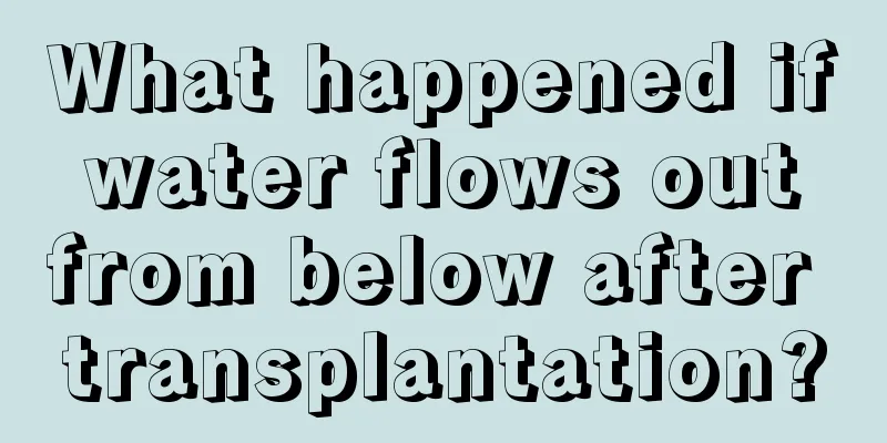 What happened if water flows out from below after transplantation?