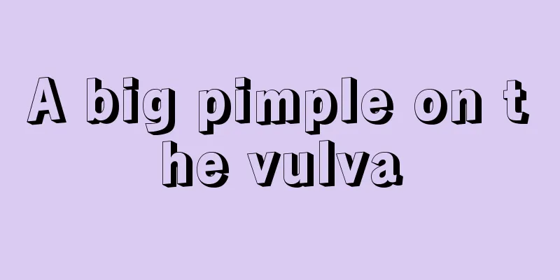 A big pimple on the vulva