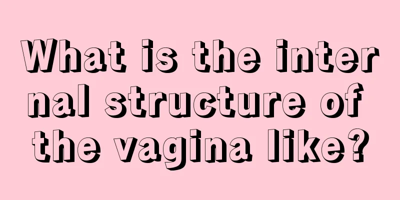 What is the internal structure of the vagina like?