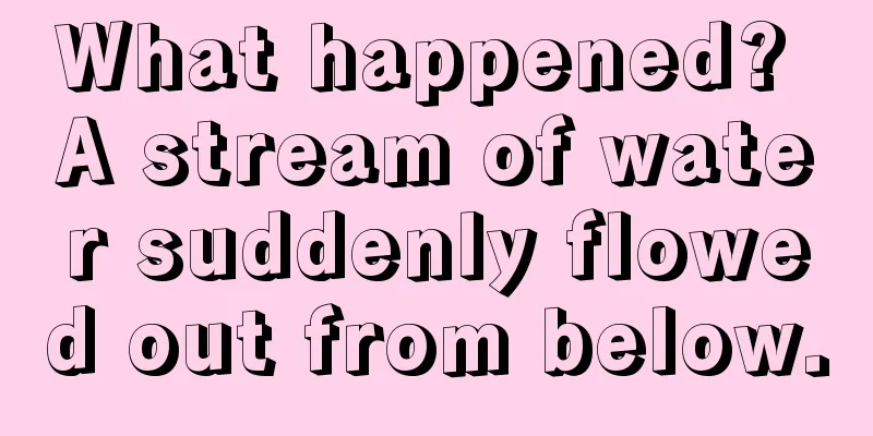 What happened? A stream of water suddenly flowed out from below.