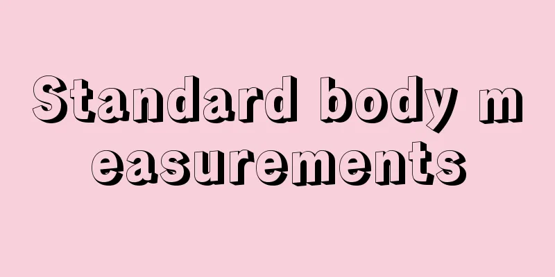 Standard body measurements