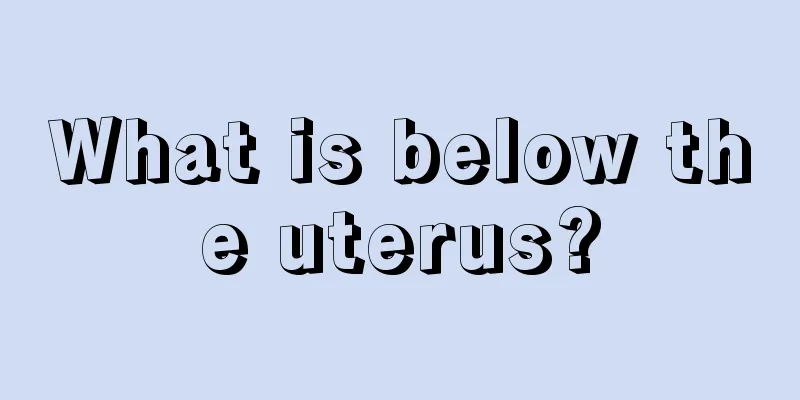 What is below the uterus?