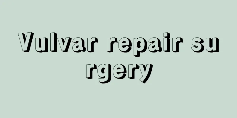 Vulvar repair surgery